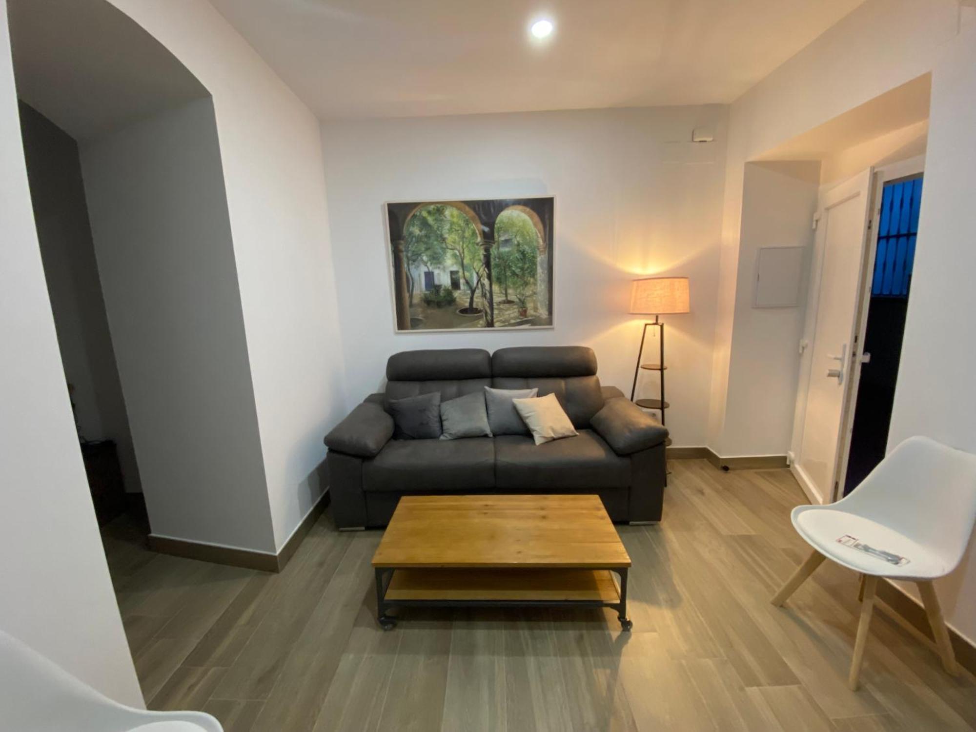 Suites Del Mar Y Suite De Cordoba - Apartmentos En Pleno Centro Exteriér fotografie